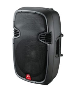 PARLANTE 15” 100Wts RMS KASS